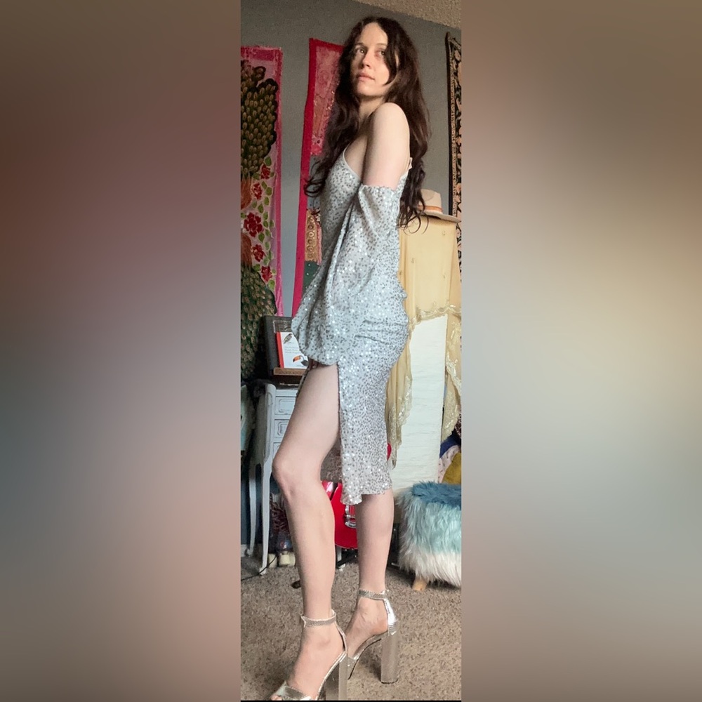 Jen’s Pirate Booty Elegant Silver Sequin Dress